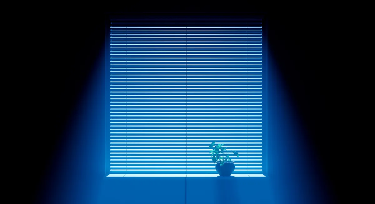 Blinds By Vertican