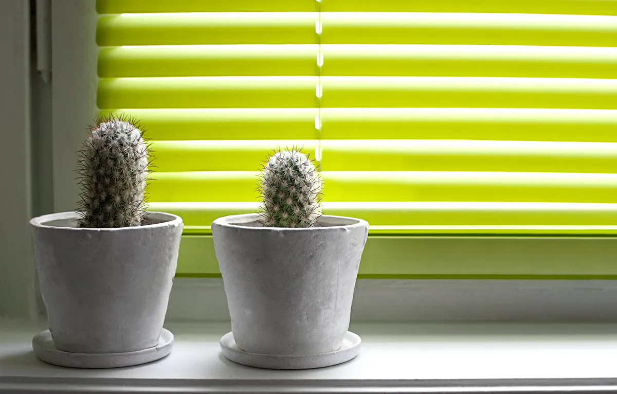 Blinds By Vertican